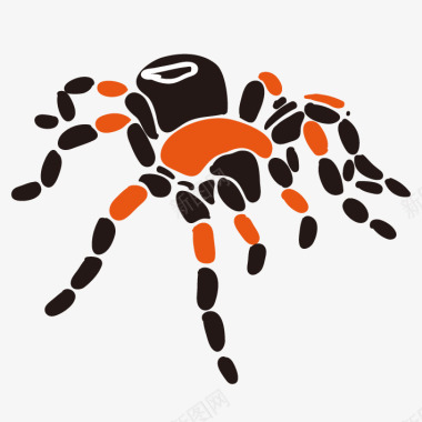 手绘狼蛛蜘蛛图标图标