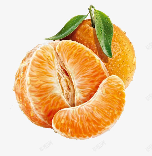 手绘橙子果肉png免抠素材_新图网 https://ixintu.com 手绘 橙子 橙色 褚橙