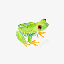 水墨彩绘的小跳蛙素材