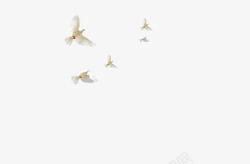 白鸽和平飞翔素材