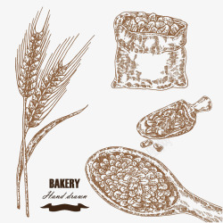 小麦与麦片插画素材