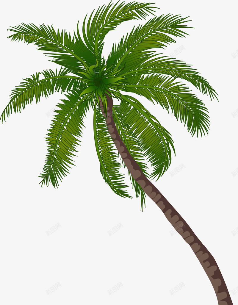 海岛椰树植物png免抠素材_新图网 https://ixintu.com 免抠PNG 树木 植物 椰树 海岛 装饰图案