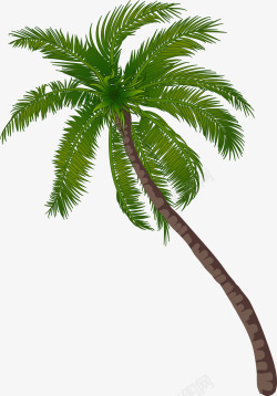 海岛椰树植物素材