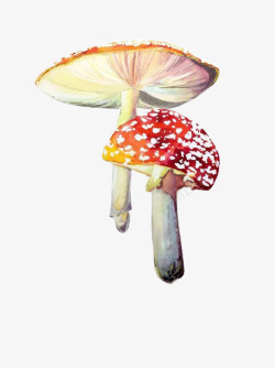 手绘蘑菇彩绘素材