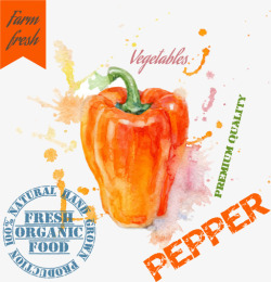 辣椒蔬菜绘画矢量图素材