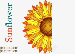六种颜色花朵向日葵植物矢量图高清图片
