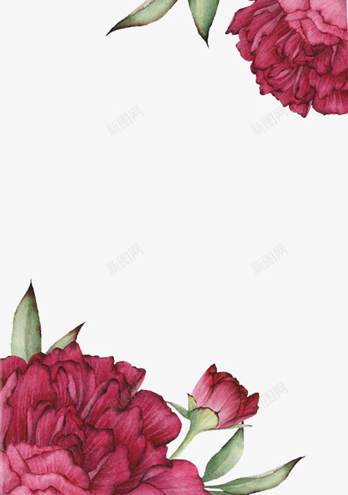 红色玫瑰手绘效果png免抠素材_新图网 https://ixintu.com 创意彩绘花 时尚彩绘图案 花卉手绘图