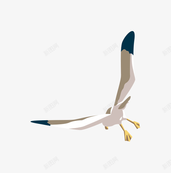 飞翔的海鸥png免抠素材_新图网 https://ixintu.com PNG素材 海鸥 白色 飞翔