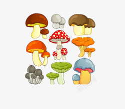 圆蘑菇图片手绘蘑菇高清图片