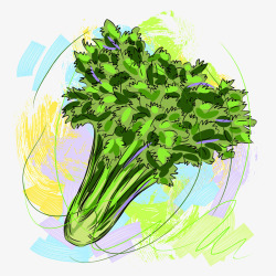 创意芹菜叶彩绘芹菜叶子高清图片