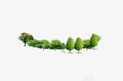 一排绿树一排树高清图片