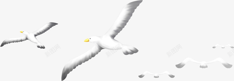 创意合成飞翔的海鸥png免抠素材_新图网 https://ixintu.com 创意 合成 海鸥 飞翔