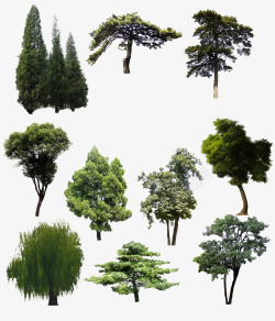 树木集合树木集合高清图片