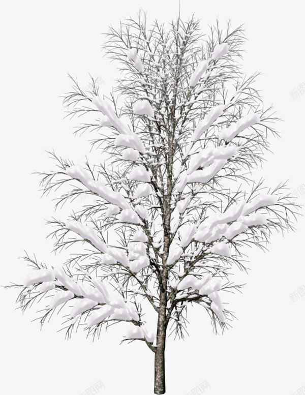 绿色大树上的积雪png免抠素材_新图网 https://ixintu.com 卡通手绘 树木 植物 白雪 积雪 绿叶 绿植 装饰图
