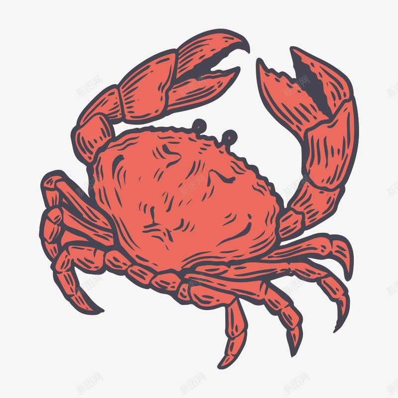彩绘螃蟹png免抠素材_新图网 https://ixintu.com 一个 卡通 彩绘 手绘 橘色 海鲜 螃蟹 螃蟹钳