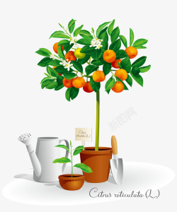 浇花的洒水壶手绘橘子矢量图高清图片