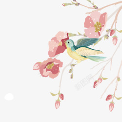 水彩绘情侣鸟水彩绘春季花枝上的鸟高清图片