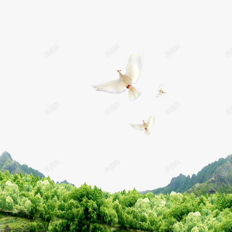 绿色世界psd免抠素材_新图网 https://ixintu.com 世界 唯美 小白鸽 数目 树林 绿色 绿色树林 飞翔 鸽子