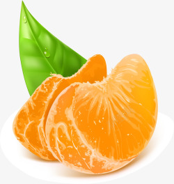 橙色简约橙子素材