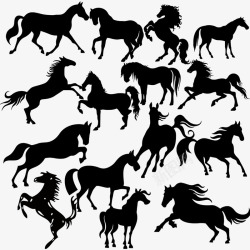 马的姿势各种姿势的马高清图片