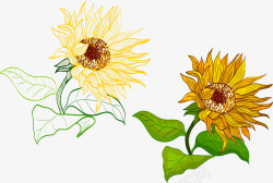 绿色植物彩绘向日葵矢量图高清图片