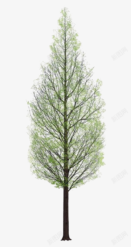 植物png免抠素材_新图网 https://ixintu.com 卡通手绘 大树 树 树木 绿叶 绿树