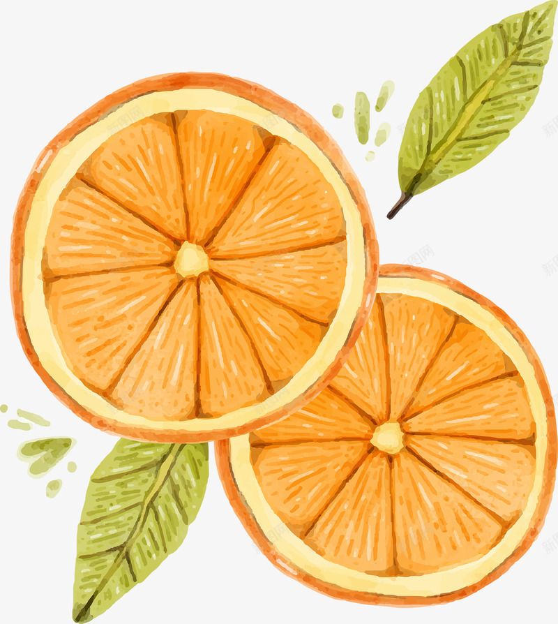 橙色橙子切片png免抠素材_新图网 https://ixintu.com 切割 橙色 水果