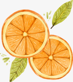 橙色橙子切片素材