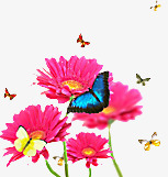粉色春季花朵飞翔蝴蝶素材