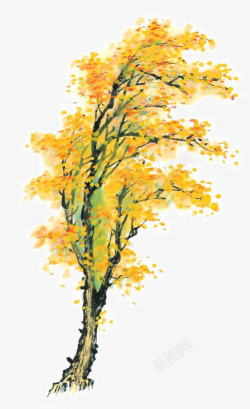 黄色秋季树木素材