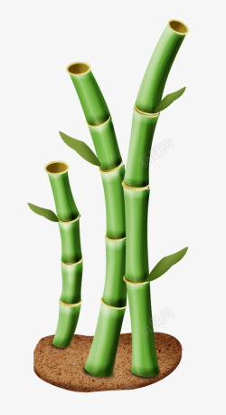 绿色竹节绘画素材