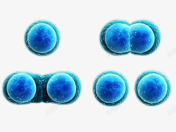 蓝色卵膜立体插画png免抠素材_新图网 https://ixintu.com 医疗 基因 新真核细胞 生殖 生理 研究 科学生活 细胞分隔 细菌 蓝色卵膜立体插画
