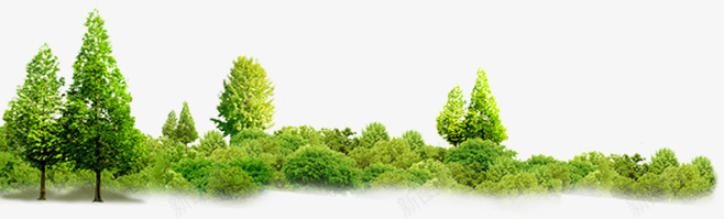 绿色植物海报树木png免抠素材_新图网 https://ixintu.com 树木 海报 绿色植物