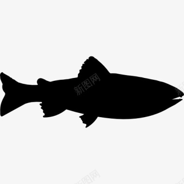 尼子鱼形图标图标