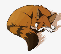 睡觉的狐狸素材