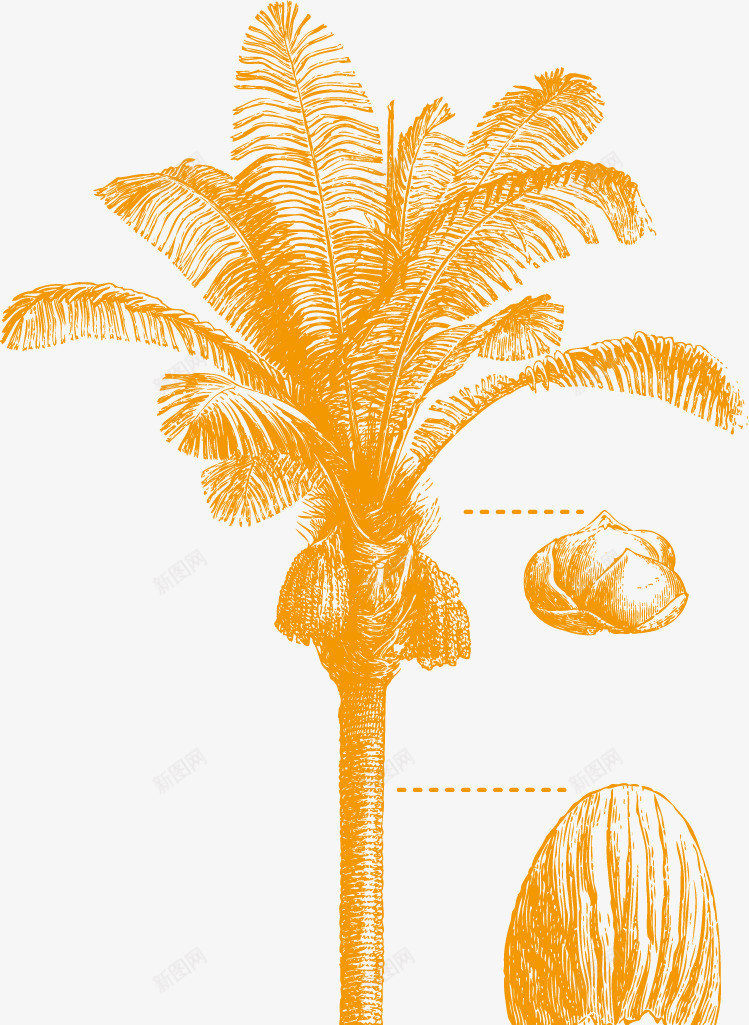 果子树木矢量图ai免抠素材_新图网 https://ixintu.com 果子 热带雨林 热带雨林树 热带雨林树叶 热带雨林植物 黄色 矢量图