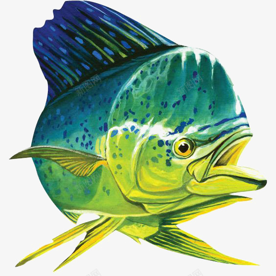 海洋鱼类png免抠素材_新图网 https://ixintu.com 动物 卡通 手绘 插画 海洋 鱼类