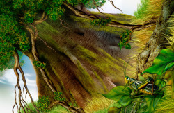 手绘的蚱蜢参天大树高清图片