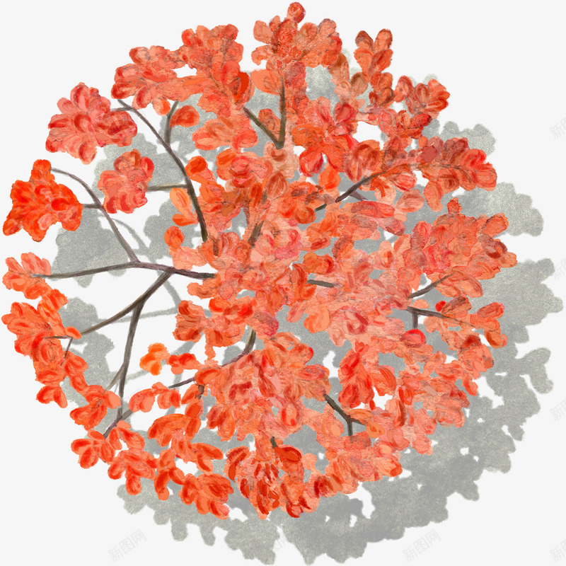 树木俯视图png免抠素材_新图网 https://ixintu.com 树 树木 矢量树木 红叶 装饰图 装饰画