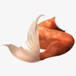 橙色创意美人鱼尾巴素材