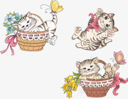 篮子里的猫猫的各种动作高清图片