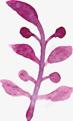 紫色植物装饰矢量图素材