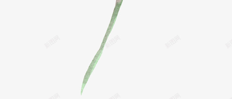彩绘画装饰png免抠素材_新图网 https://ixintu.com 彩绘画 植物 矢量装饰 花朵 装饰
