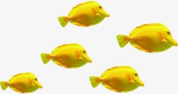 金黄色海洋动物小鱼素材