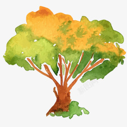 金黄色树木手绘园林景观水彩树图案高清图片