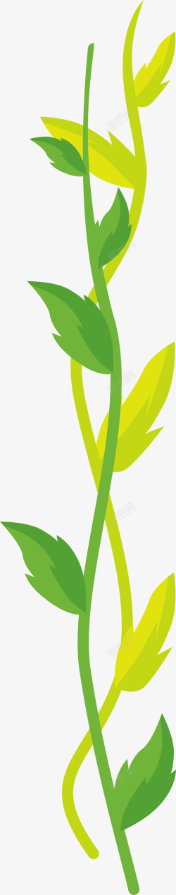 交织树藤绿色清新春季树藤高清图片