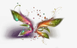 蜕变素材美轮美奂的彩色蝴蝶高清图片
