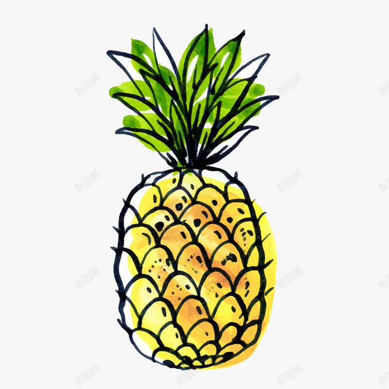 卡通黄色水彩绘菠萝png免抠素材_新图网 https://ixintu.com 卡通水果 水彩绘菠萝 背景装饰 黄色菠萝