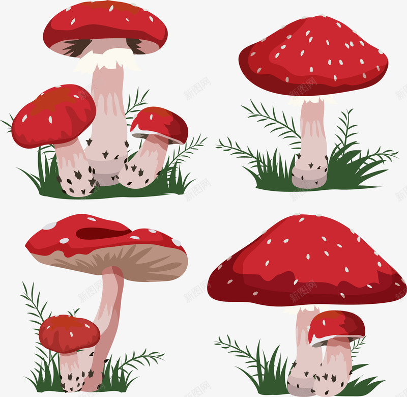 水彩蘑菇集合png免抠素材_新图网 https://ixintu.com 卡通 彩绘 斑点 水彩 红色蘑菇 绿色叶子
