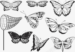 创意网捕捉蝴蝶矢量图高清图片